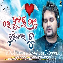 Re Hrudaya Taku Bhulijare Tu